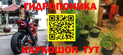 молекула духа Донецк