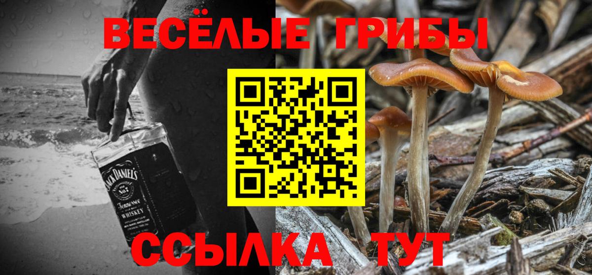 Галлюциногенные грибы ЛСД Кудымкар