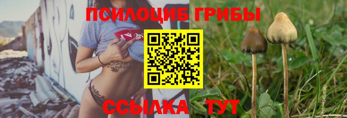 Кудымкар  Псилоцибиновые грибы MAGIC MUSHROOMS  Псилоцибиновые грибы MAGIC MUSHROOMS  Вход с VPN 